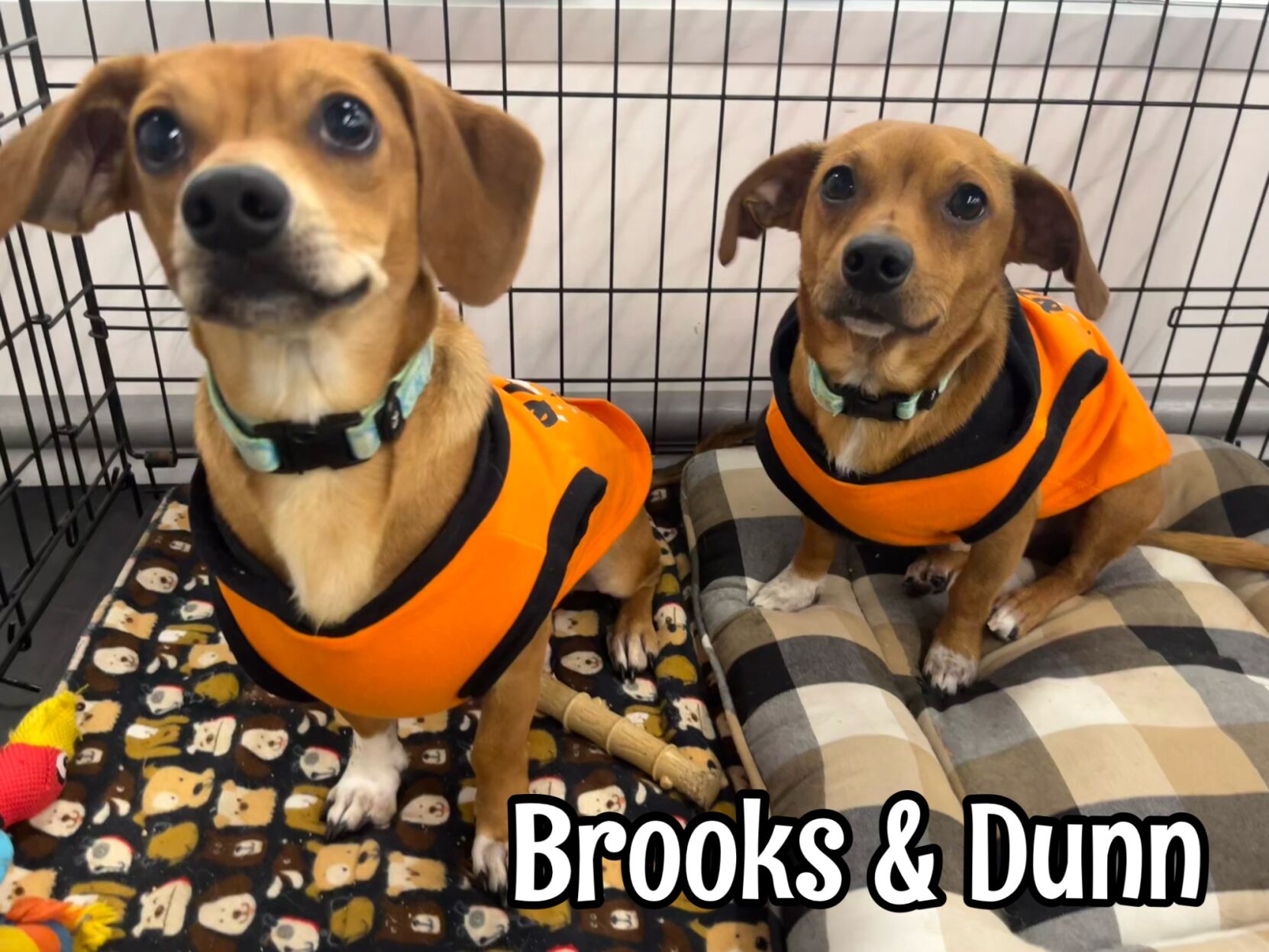 Brooks and Dunn